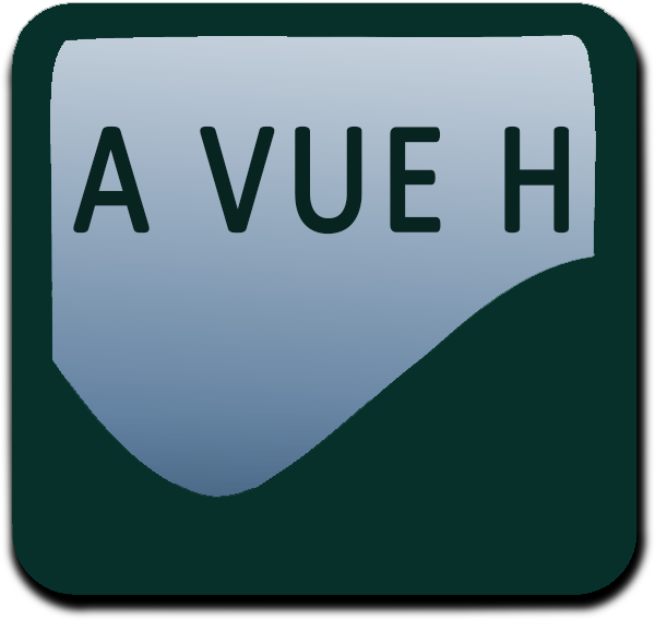 AVUE H